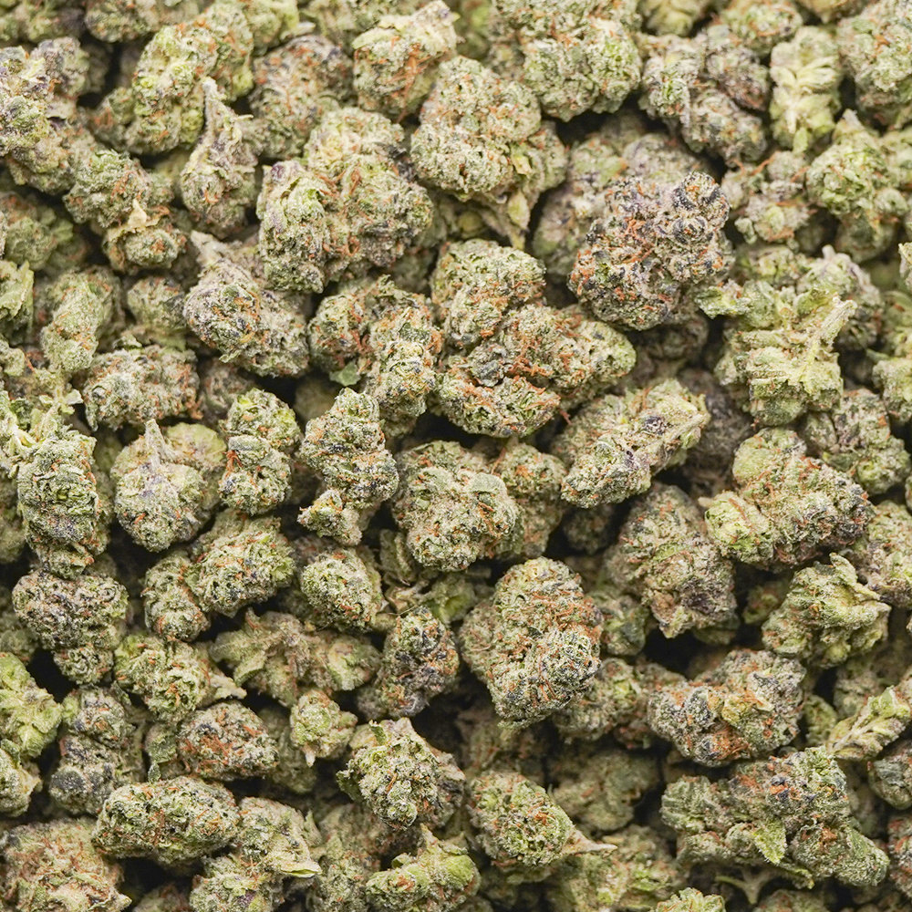 buy-weed-online-dispensary-galactic-warhead-craft-popcorn-wholesale Galactic Warhead AAAA Popcorn - Hybrid - Image 1