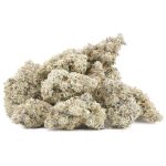 Gas Garden - Tuna Can - Katsu Bubba Kush (7 Grams) - Image 2