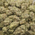 Grand Master Kush AAAA - Indica - Image 3