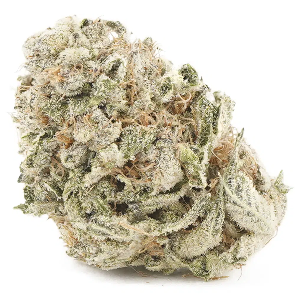 buy-weed-online-dispensary-hazy-margarita-aa-nug Hazy Margarita AA - Sativa - Image 1