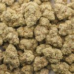 Jelly Sherbet AA - Indica - Image 3