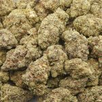 Wholesale - Lemon Sour Diesel - AA