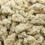 Lucuma Kush Craft - Indica - Image 3