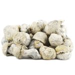 Shrooms - Iceberg - Image 2