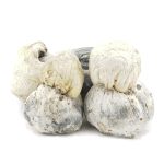 Shrooms - Pearly Gates