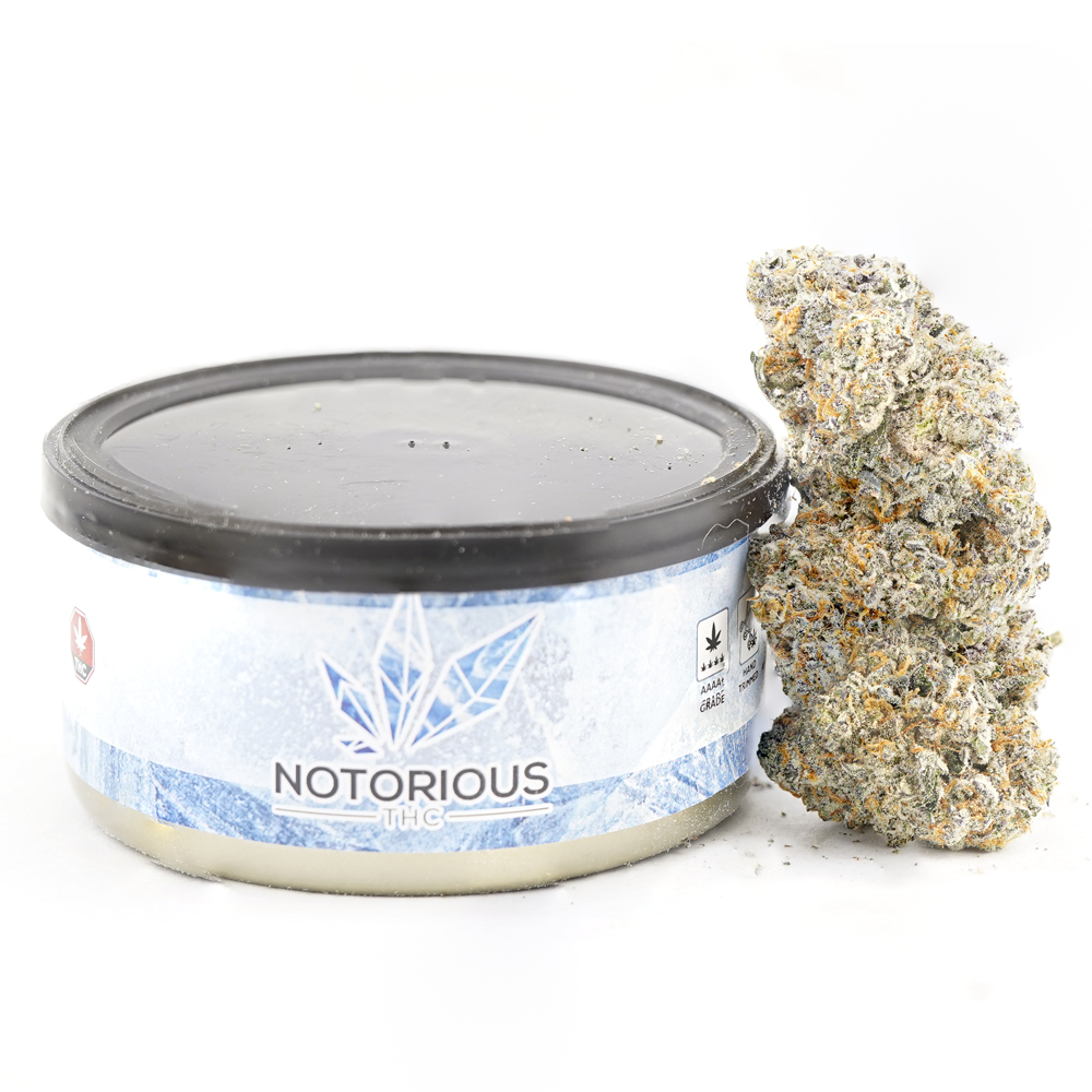 buy-weed-online-dispensary-notorious-tuna-can-craft-blue-burst Notorious THC Craft - Blue Burst (7 Grams) - Image 1
