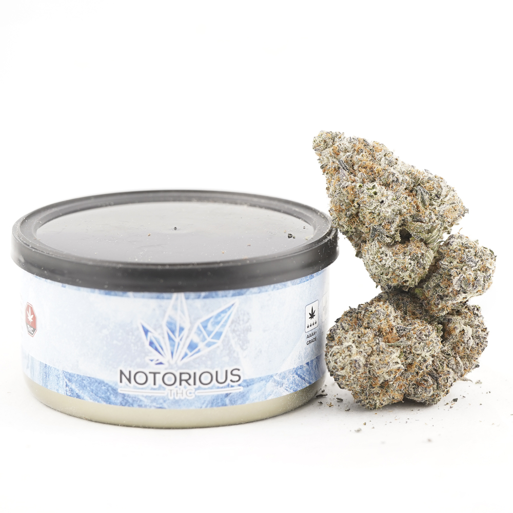 buy-weed-online-dispensary-notorious-tuna-can-craft-gelato-cookies Notorious THC Craft - Gelato Cookies (7 Grams) - Image 1