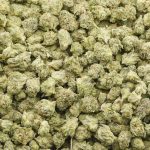 Wholesale Popcorn - Pink Diamond - AAAA