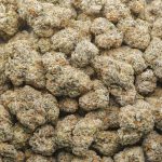 Platinum Gushers Craft - Hybrid - Image 3