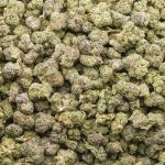Space Biscotti AAA Popcorn - Indica