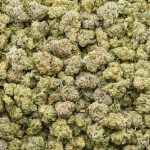Wedding Pie AAA Popcorn - Indica
