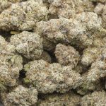 Wholesale - White Death - Craft