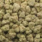 Banana Runtz AAA - Hybrid - Image 3