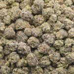 Wholesale Popcorn - Black Bubba - Craft