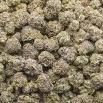 Wholesale Popcorn - Black Bubba - Craft