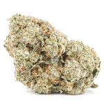Blue Afghani AA - Indica