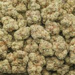 Blue Afghani AA - Indica - Image 3