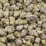 Wholesale Popcorn - Flurple - Craft