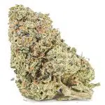 G13 Widow AAAA - Indica