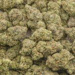 G13 Widow AAAA - Indica - Image 3