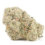 Greasy Runtz AA - Indica