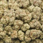Greasy Runtz AA - Indica - Image 3