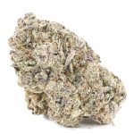 Gucci Pink AA - Indica