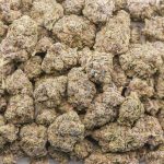 Gucci Pink AA - Indica - Image 3