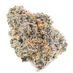 Poison Berry AAAA - Hybrid