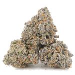 Poison Berry AAAA - Hybrid - Image 2