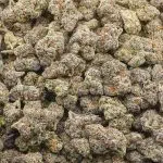 Wholesale - Poison Berry - AAAA