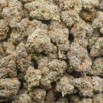 Wholesale - Purple Gas - AAAA
