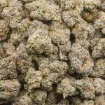 Wholesale - Purple Gas - AAAA