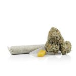 Stoned Buddha - Live Resin Infused Pre-Rolled Joint - Dream Kush (3.5G)