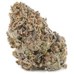 Sunset Sherbet A - Indica