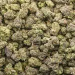 Thin Mint AAAA Popcorn - Hybrid