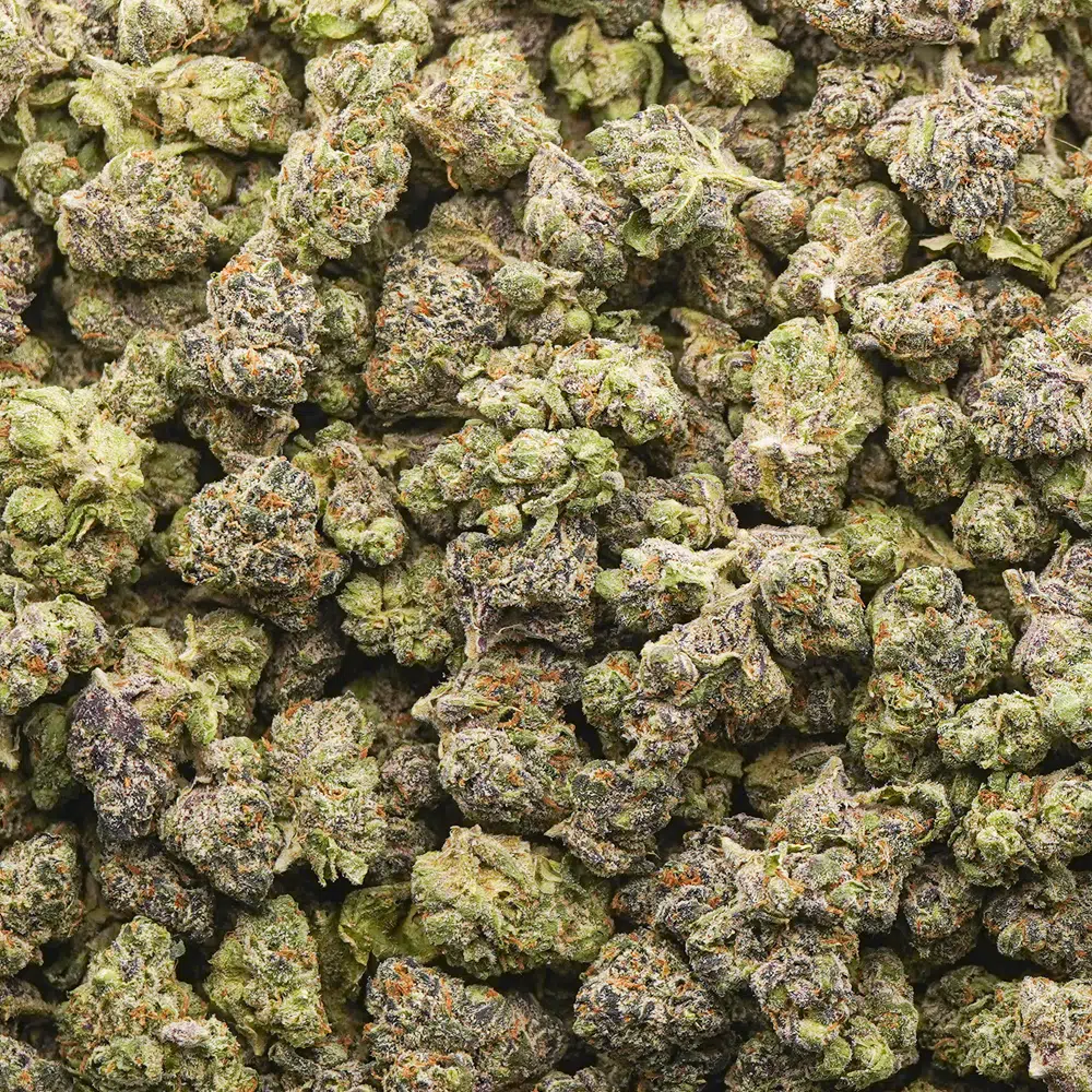 buy-weed-online-dispensary-thin-mint-aaaa-popcorn-wholesale Thin Mint AAAA Popcorn - Hybrid - Image 1