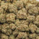 Wholesale - Zkittlez - AAA