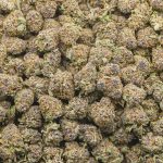 Wholesale Popcorn - Alaska Thunder Grape - AAAA