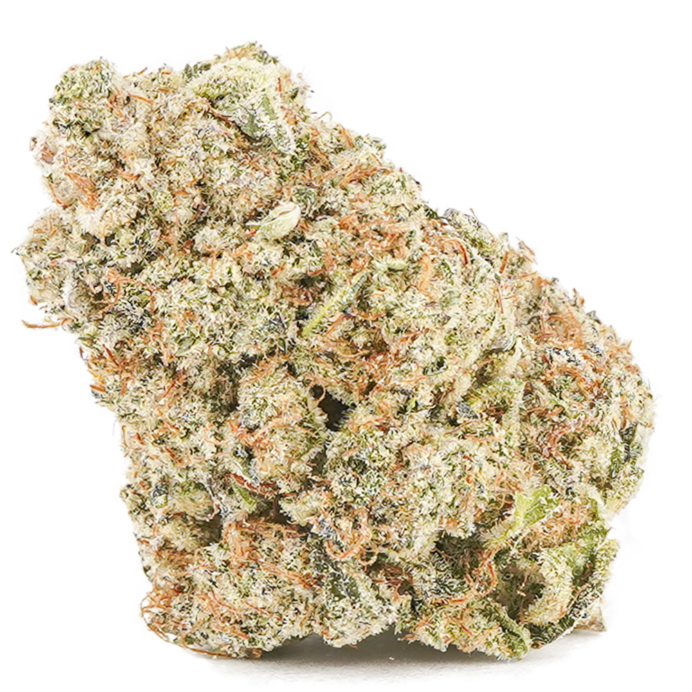 buy-weed-online-dispensary-albino-rhino-aaa-nug Albino Rhino AAA - Indica - Image 1
