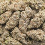 Bubba OG AAA - Indica - Image 3