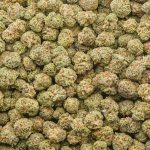 Bubba Slaps AA Popcorn - Indica