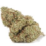 Wholesale - Danky Kong - AA - Image 3