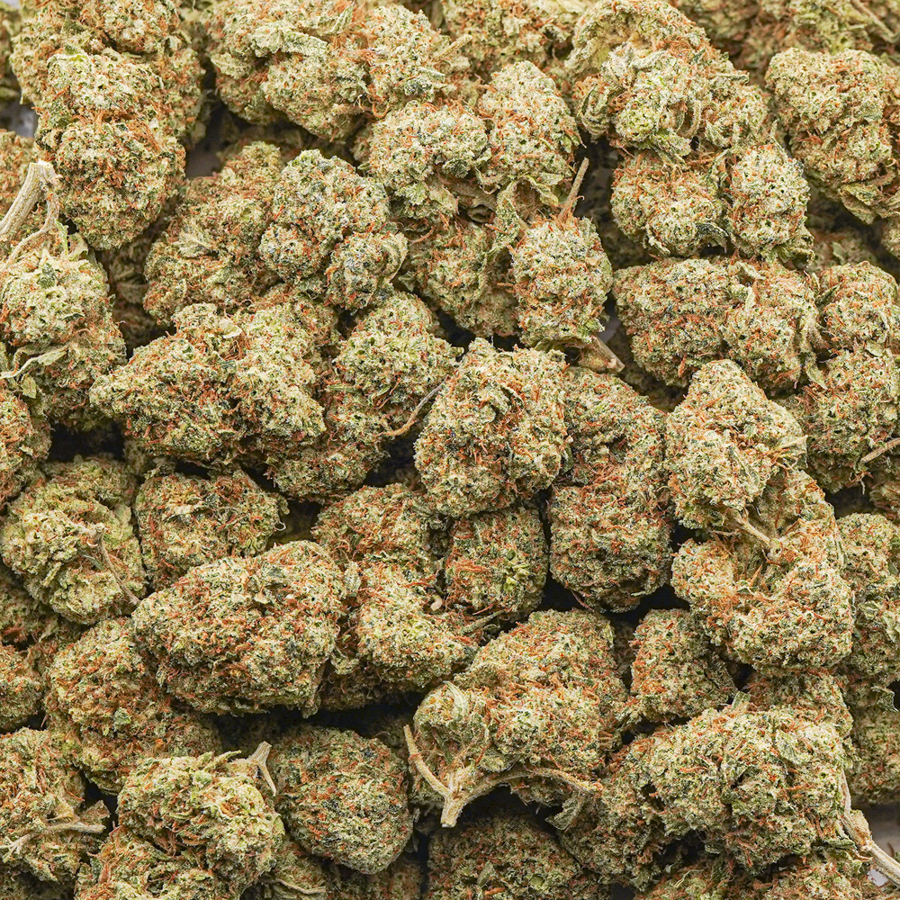 buy-weed-online-dispensary-danky-kong-aa-wholesale Wholesale - Danky Kong - AA - Image 1