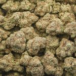 Lemon OG AA - Hybrid - Image 3