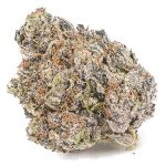 Peyote Purple AAA - Indica