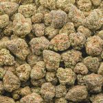 Wholesale Popcorn - Sacrificial Lamb - AAA