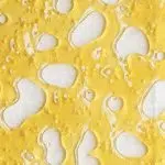 Shatter - Brainwreck - Hybrid - Image 2