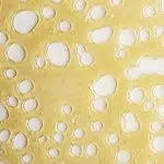 Shatter - Gas Station Sushi - Sativa - Image 2