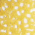 Shatter - Gummy Bears - Hybrid - Image 2